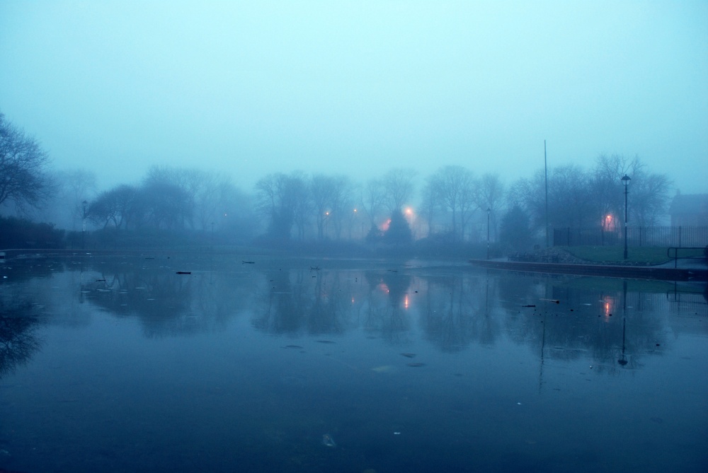 Frozen Pond In Fog