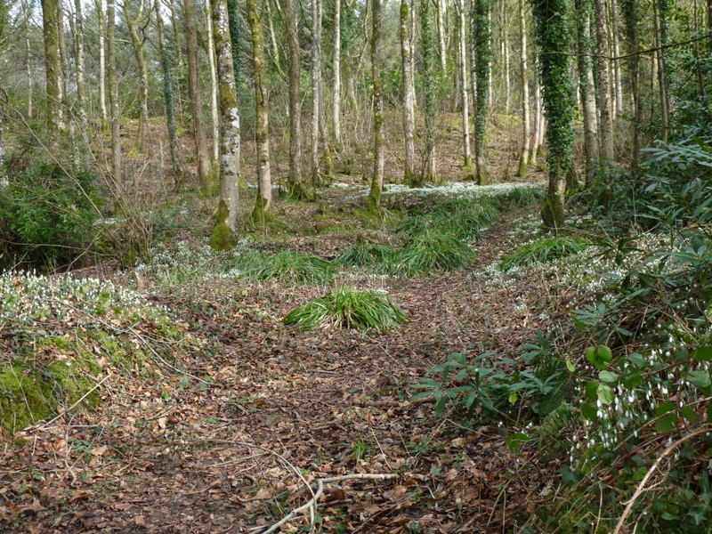 Otterford Lakes