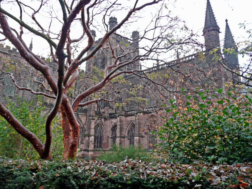 Photograph of Chester Cathedral in Winter