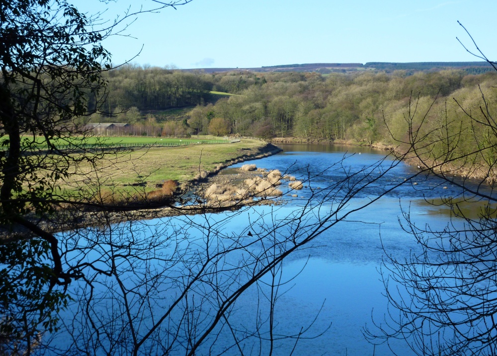 The River Ribble