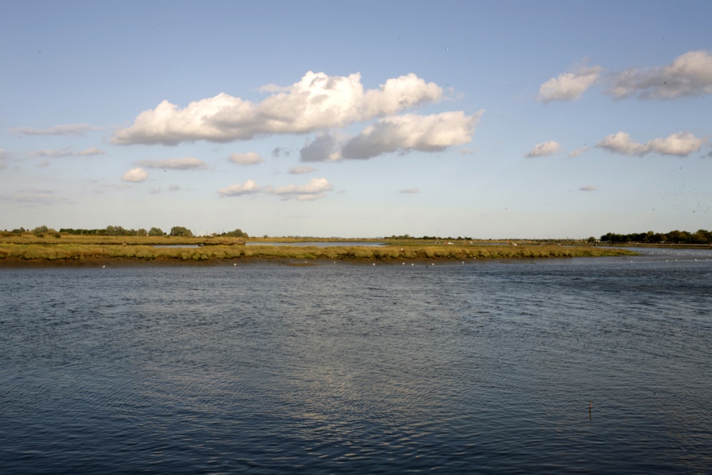 Blackwater  estuary.
