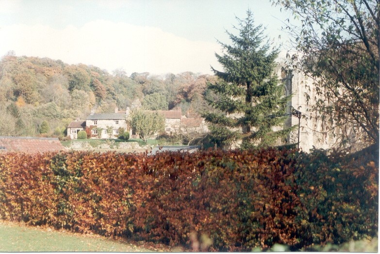 Rievaulx Abbey, Autumn 1991