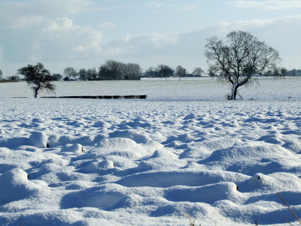 Photograph of Snowy field