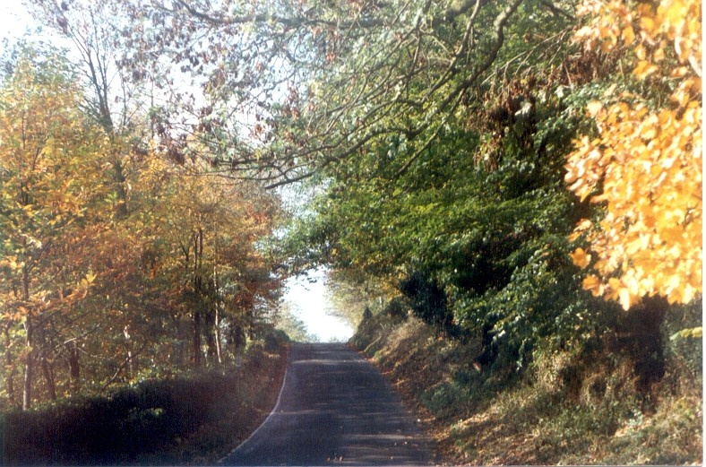 Photograph of Ringwood, Hampshire. Autumn 1991