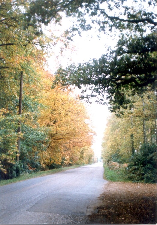 Ringwood, Hampshire. Autumn 1991