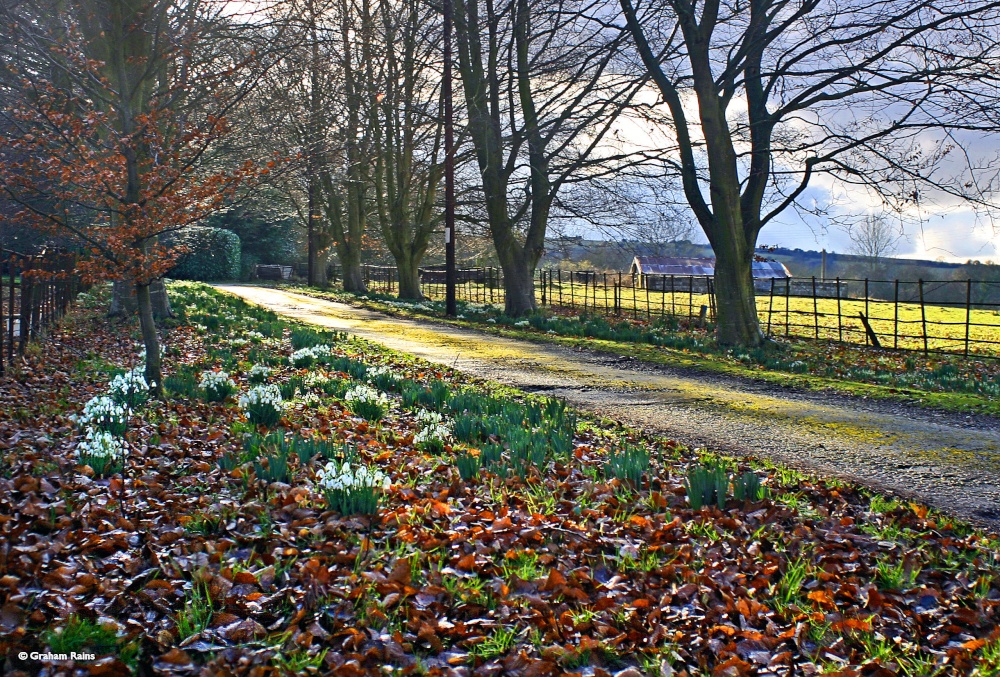 Stour Valley Winter, Shillingstone