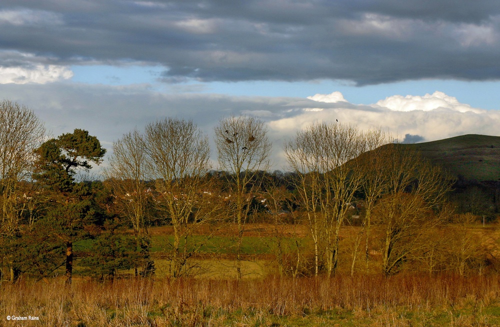 Stour Valley Winter,  Shillingstone
