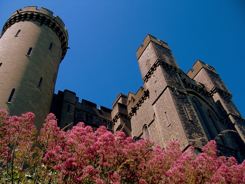 Arundel Castle walls in colour photo by Stephen Luff