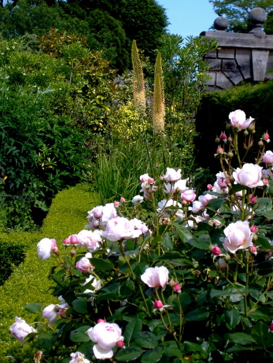 Arundel Castle Gardens