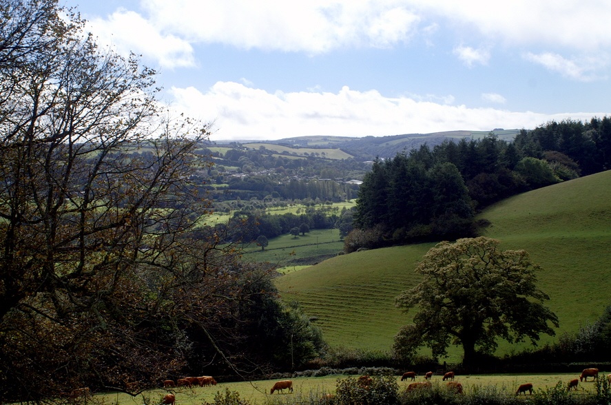 Looking down into the valley. photo by Peter Evans