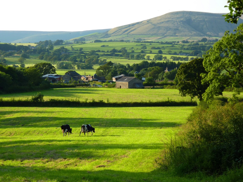 Quiet countryside. Восточная Англия природа. Countryside acres семья. Countryside Life. Ланкашир фото местности.
