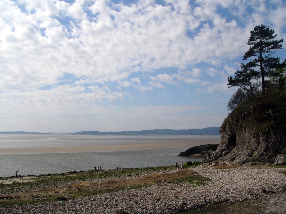 Morecambe Bay photo by Reg Talbot