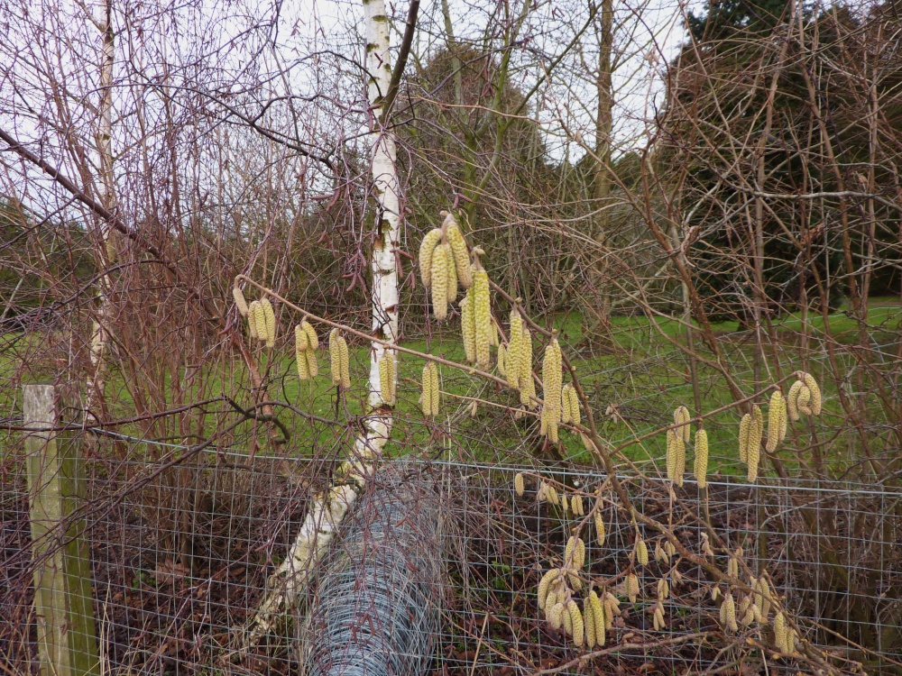 Spring is nearly here