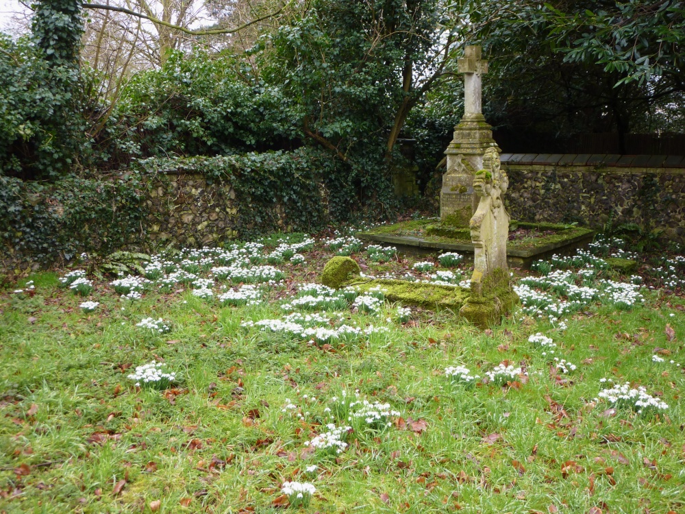 In the Churchyard