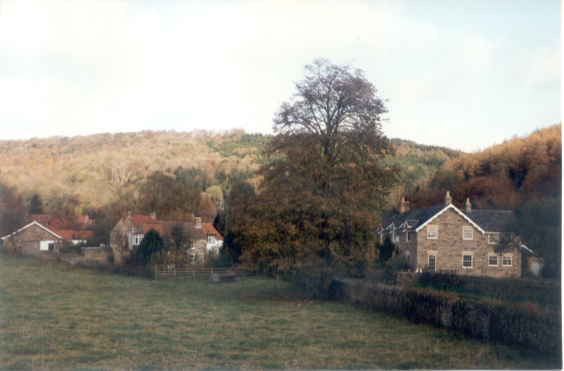 Wombleton, North Yorkshire, 1991