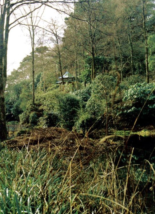 Pergoda in the trees.