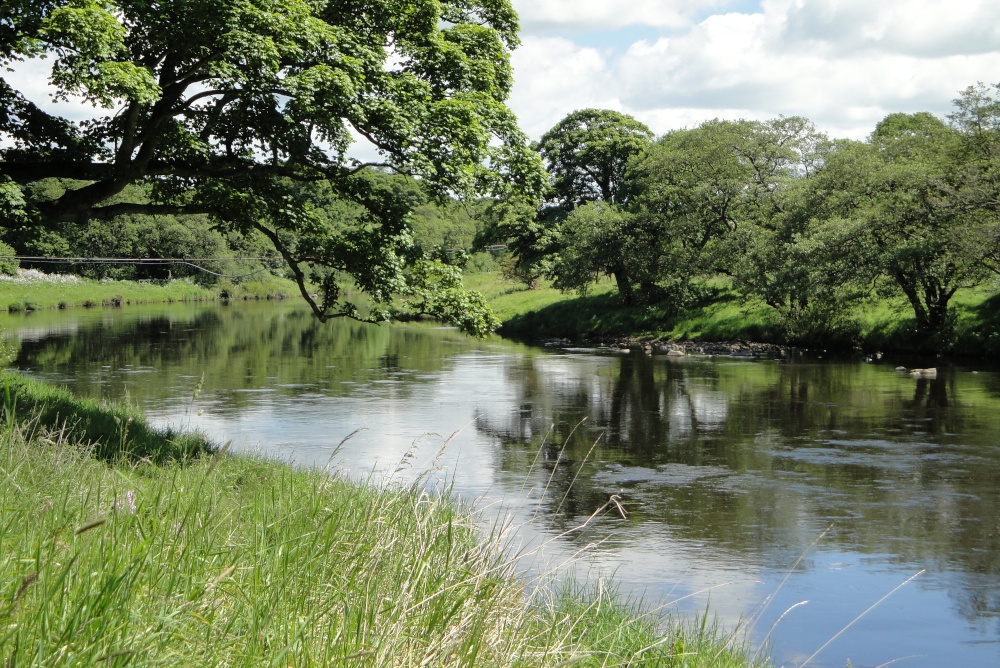 Photograph of The River North Tyne