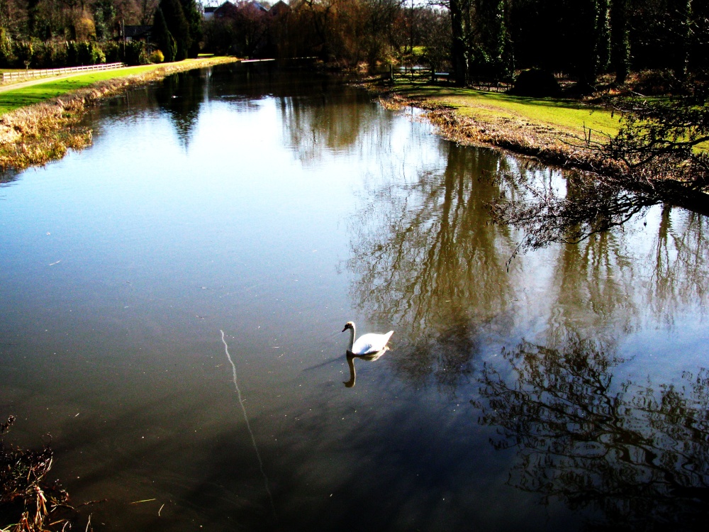 A view of Burgh next Aylsham