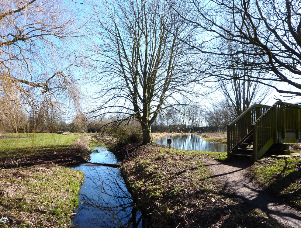 A view of Burgh next Aylsham