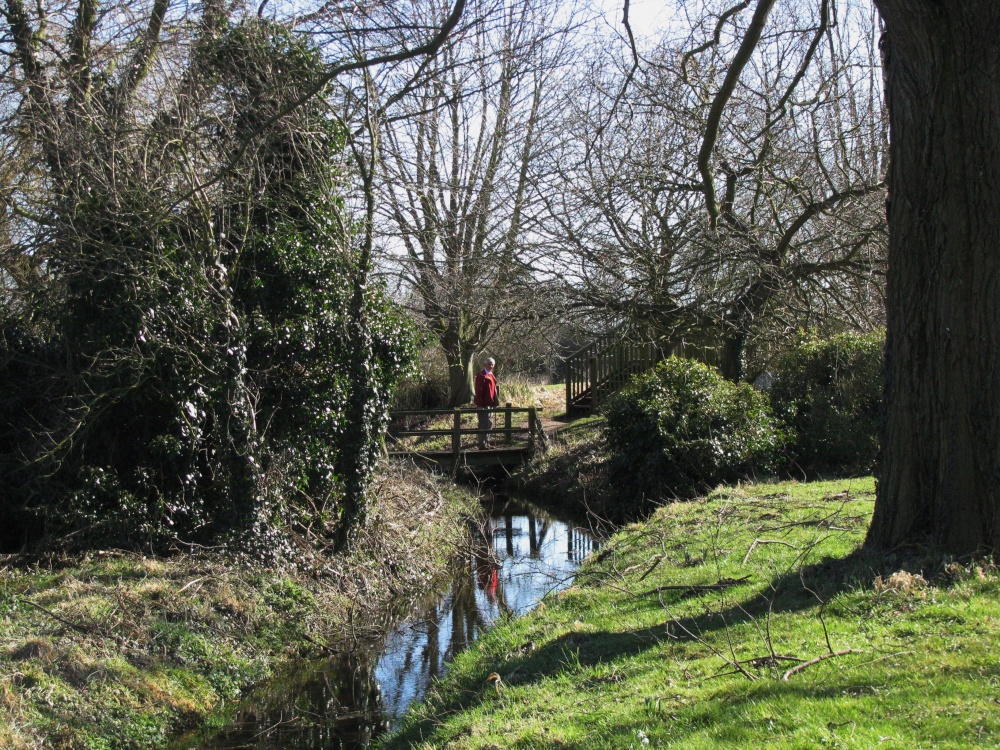 A view of Burgh next Aylsham