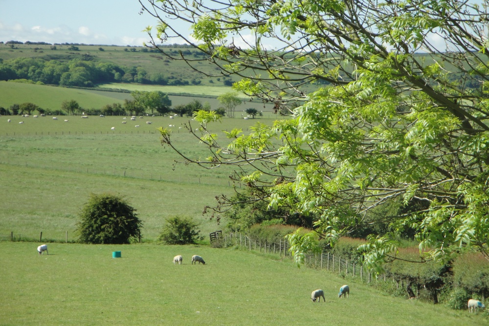 Looking south from my room