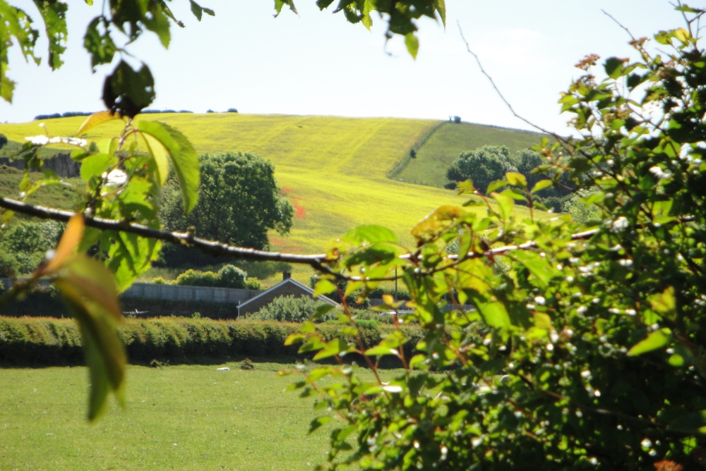 Looking east from the car park