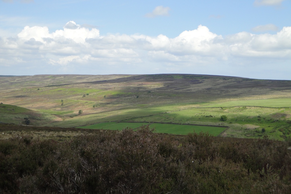 On the Moors 3
