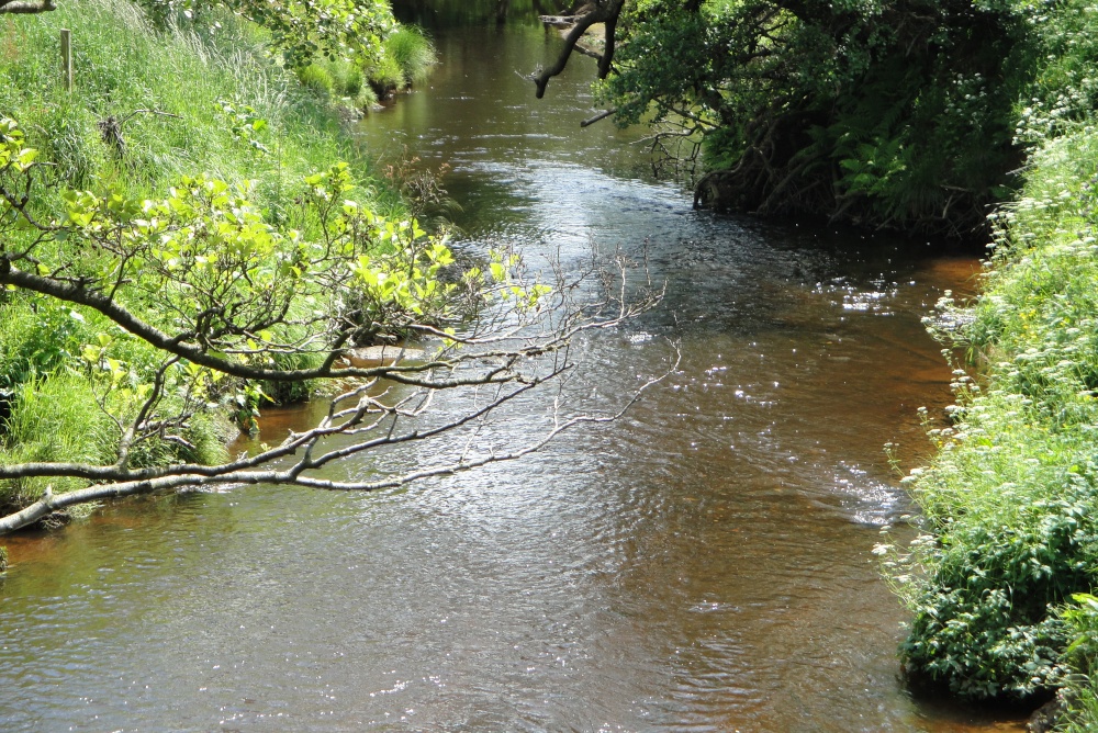 At the Moors Centre, Danby