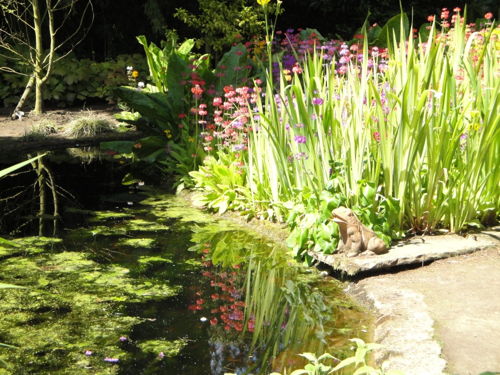 Photograph of A sunny day in June at Newby Hall gardens