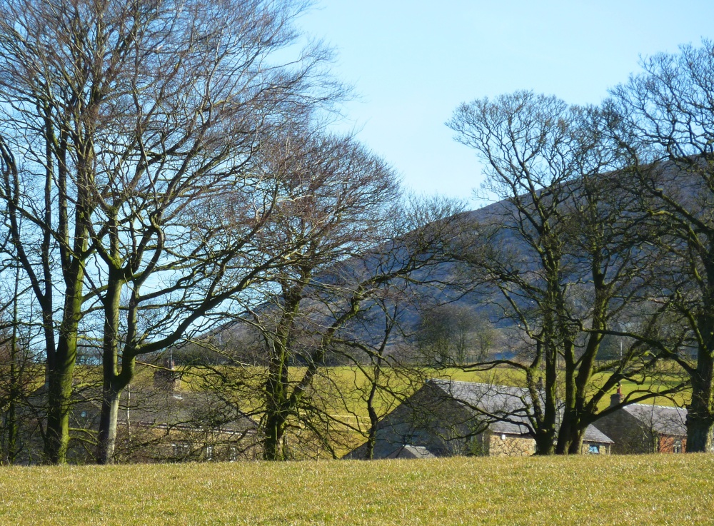 Photograph of Jeffrey Hill