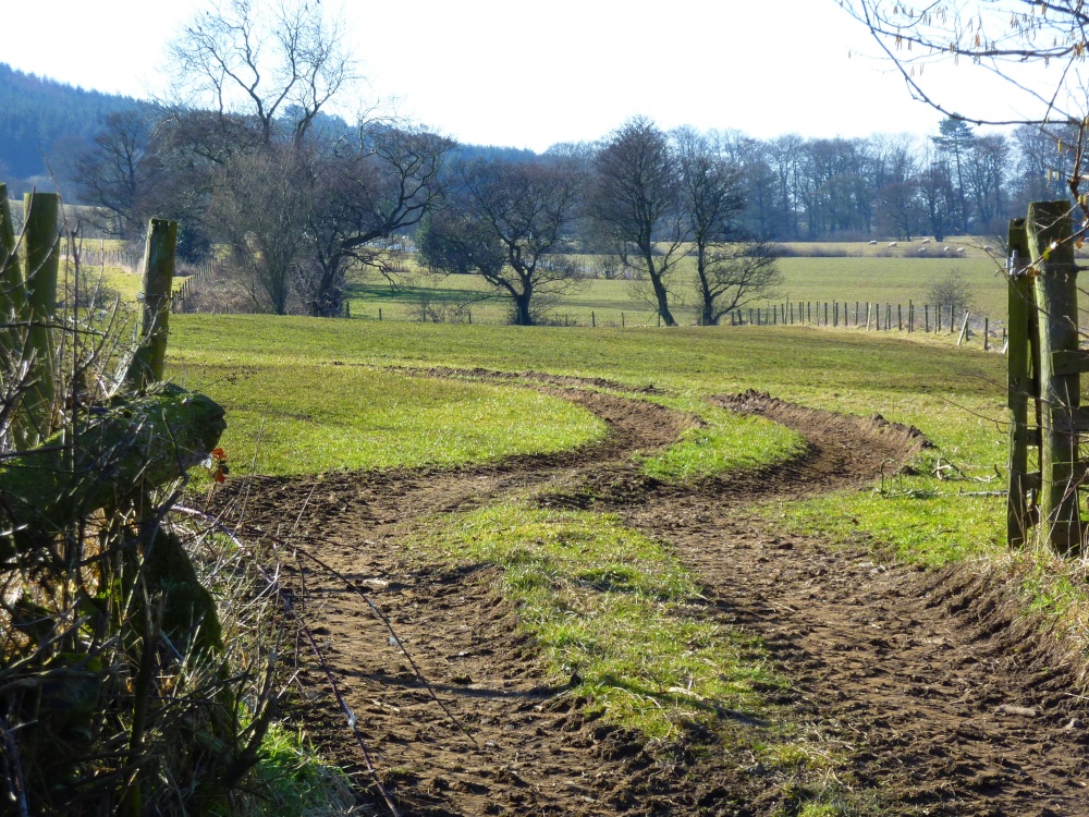 Photograph of Jeffrey Hill