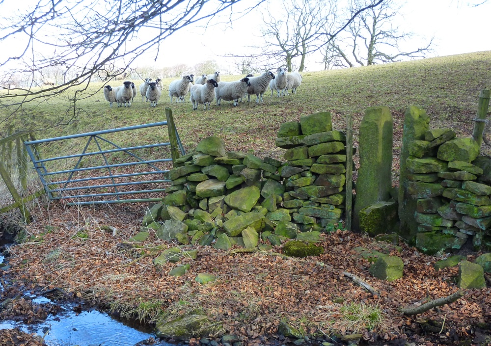 Photograph of Jeffrey Hill