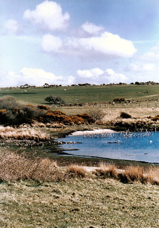 Collieford lake in the moor.