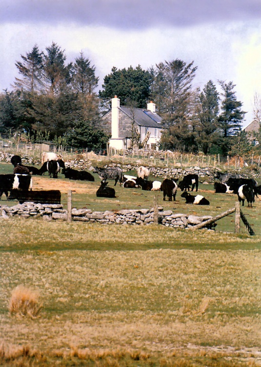 A farm on the moors.