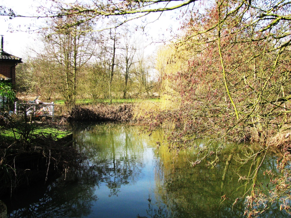 At Needham Mill