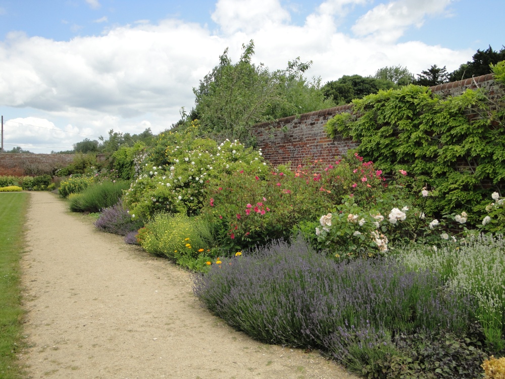 Border at the kitchen garden