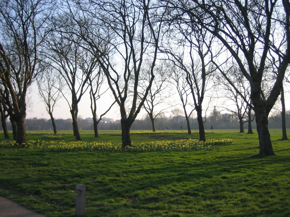 Regents Park photo by Irina Rõõmussaar