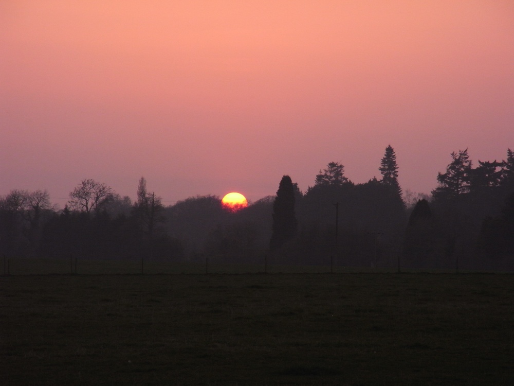 March sunset over Westonbirt 2009