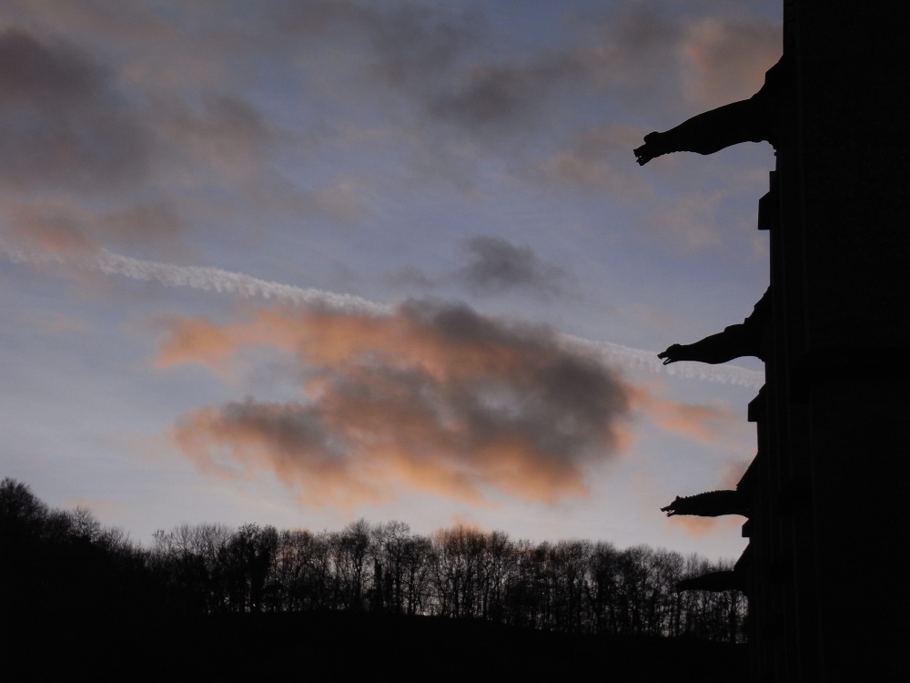 Photograph of Woodchester Mansion at dusk