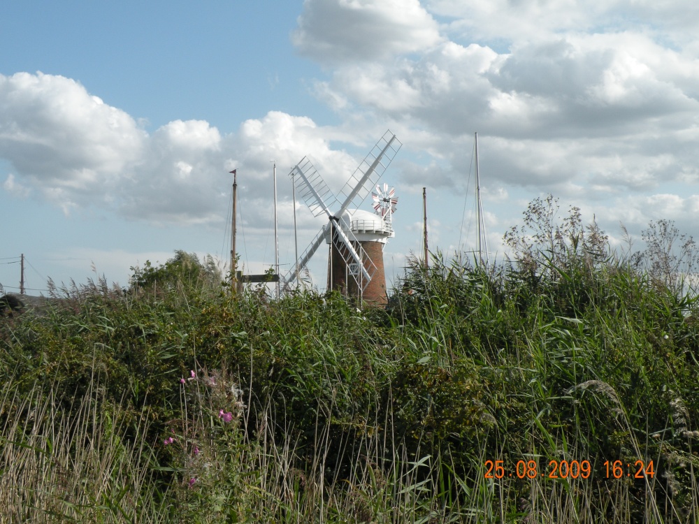 The Windmill