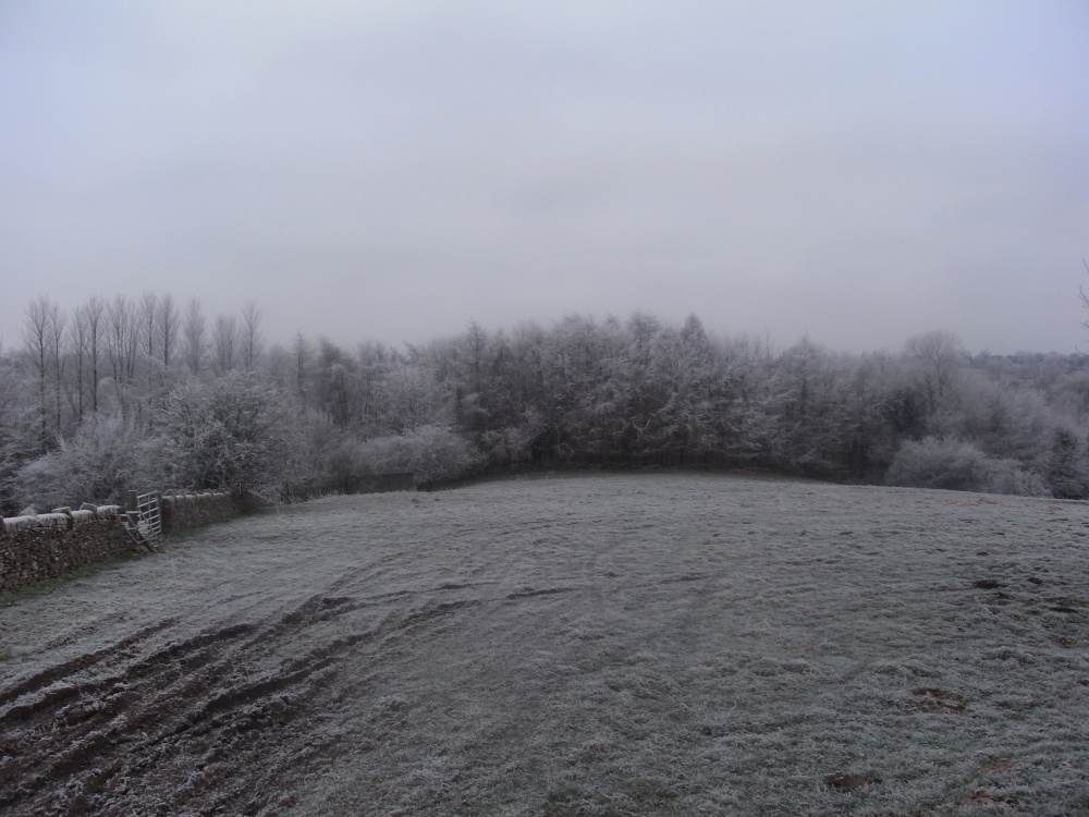Frost field