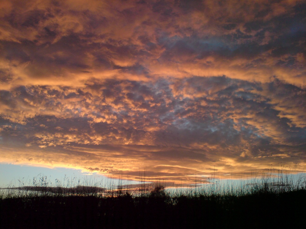 Photograph of A December sky 1