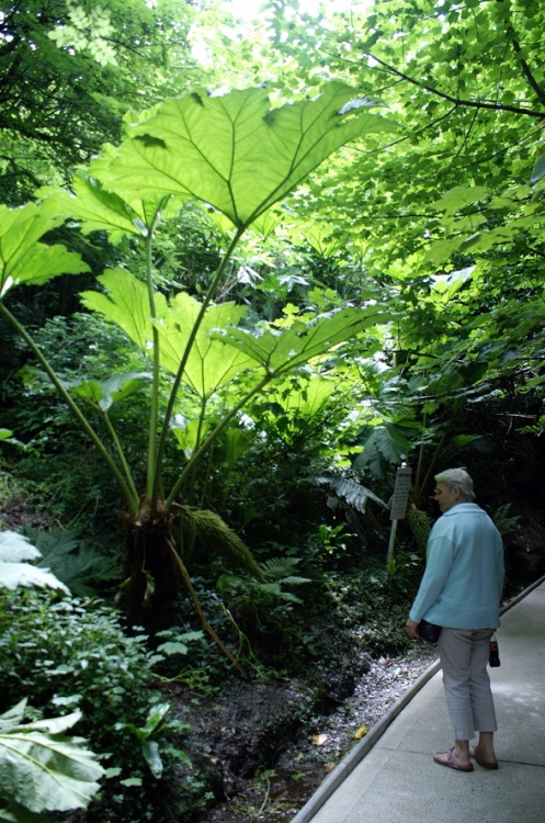 The path  to the Seals.