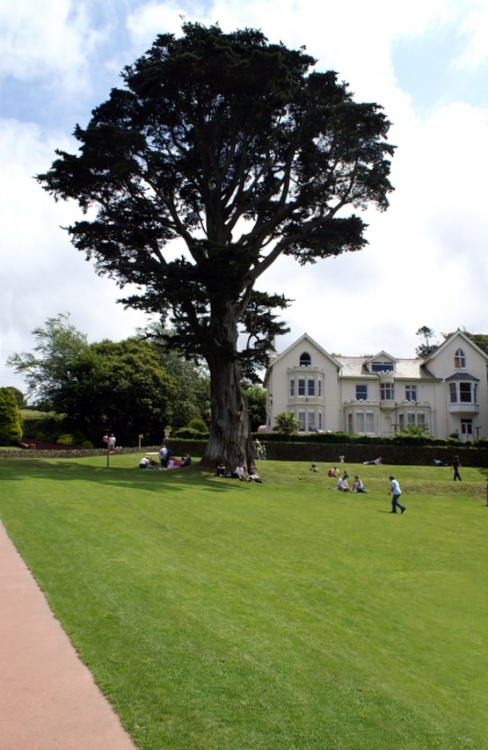 The entrance to the park.