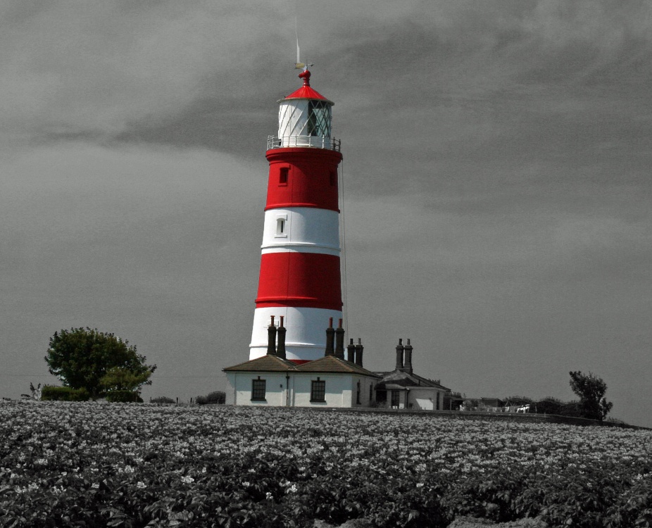 Photograph of Coastal