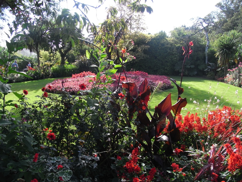 A beautiful display photo by Traci Greenwood