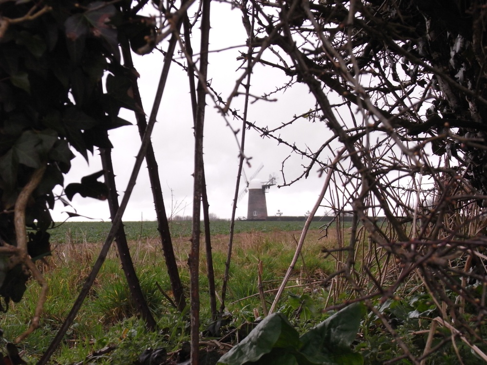 Photograph of A hidden windmill