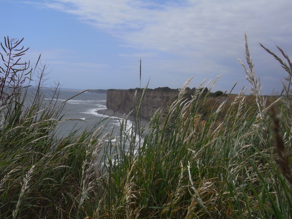 Photograph of Cliff edge view
