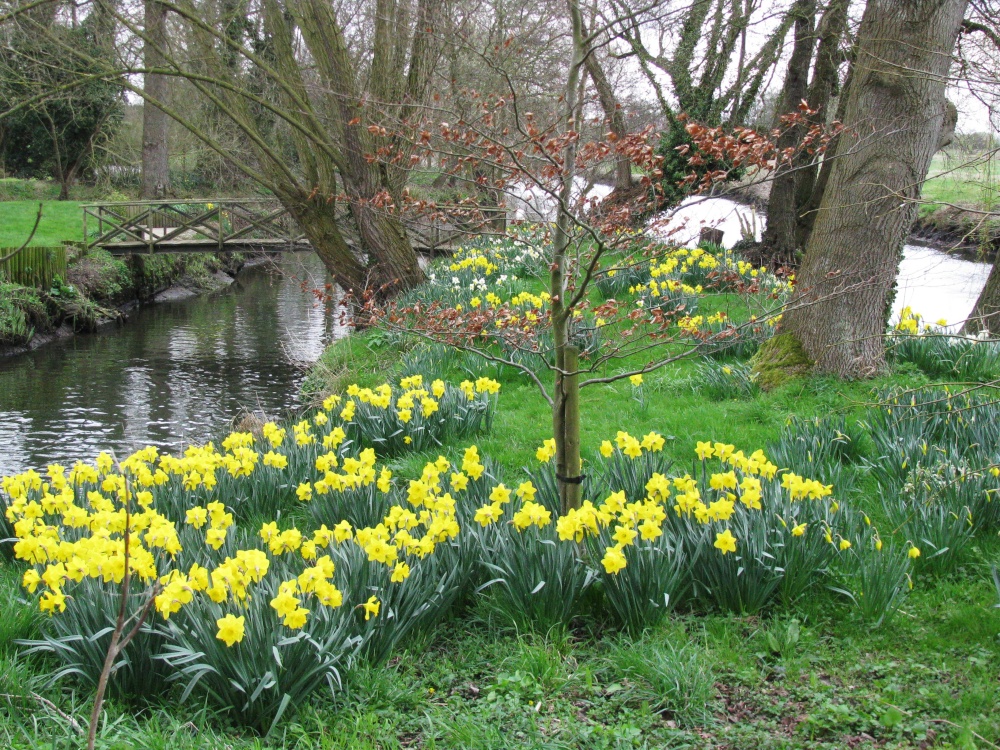 Photograph of Around Ellingham Mill