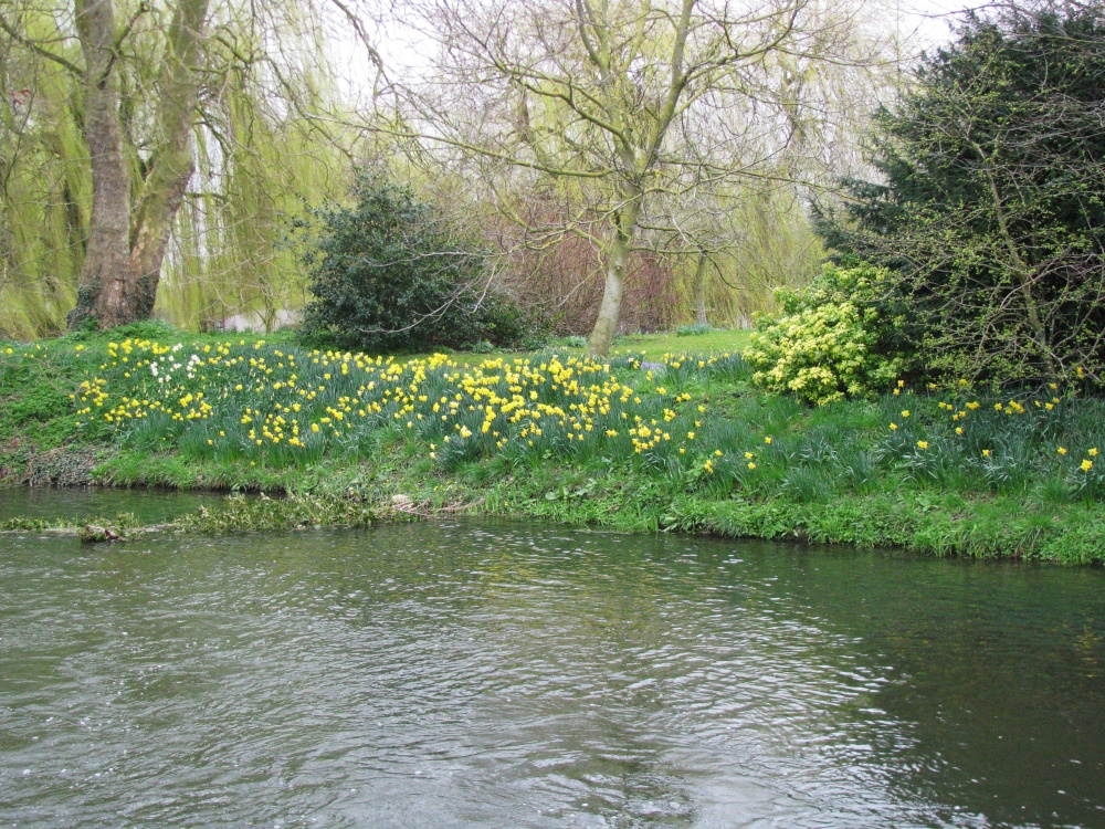 Photograph of Around Ellingham Mill